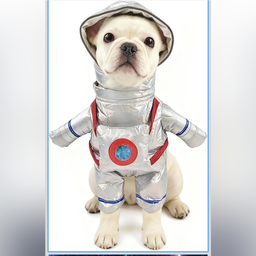 Silver Pet Spacesuit Costume